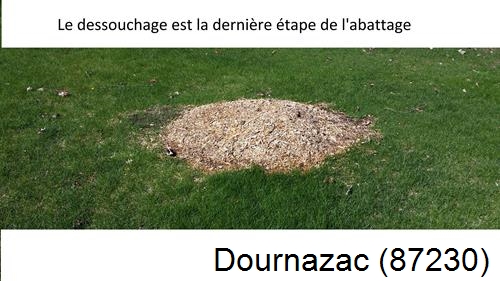 déssouchage d'arbres Dournazac-87230
