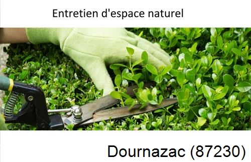 Rénovation jardin particulier Dournazac-87230