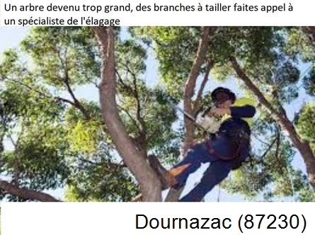 Elagueur qualifié à Dournazac-87230