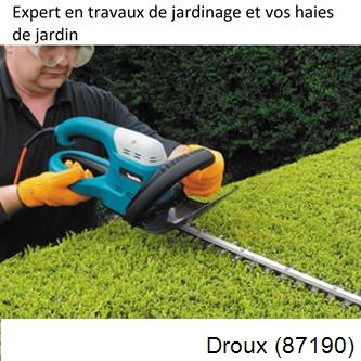 Taille et entretien jardin Droux-87190