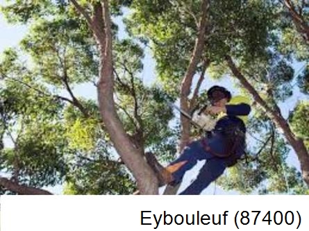 Elagueur à Eybouleuf-87400