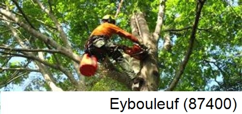 Entreprise du paysage Eybouleuf-87400