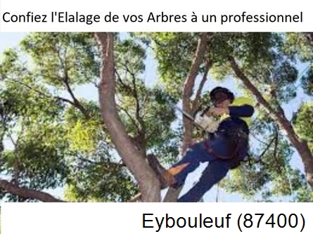 Société d'élagage à Eybouleuf-87400