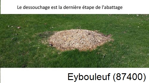 déssouchage d'arbres Eybouleuf-87400