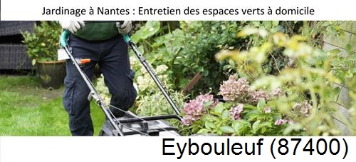 Travaux d'entretien exterieur Eybouleuf-87400