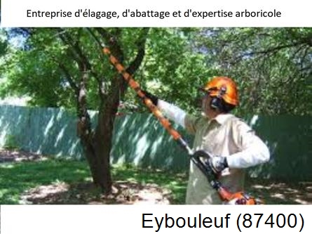Coupe tête d'arbres Eybouleuf-87400