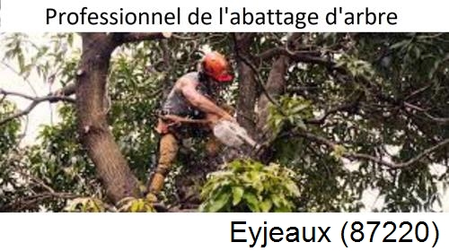 Elagage d'arbres Eyjeaux-87220