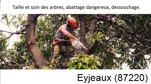 Abattage d'arbres Eyjeaux-87220