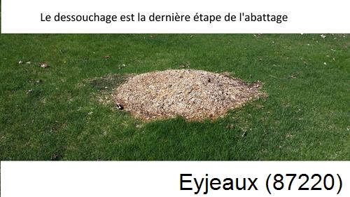 déssouchage d'arbres Eyjeaux-87220