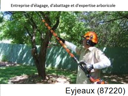 Coupe tête d'arbres Eyjeaux-87220
