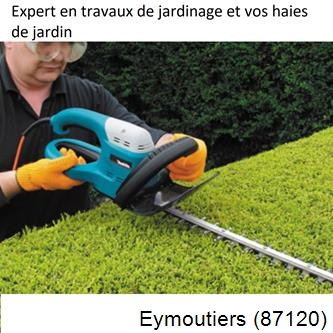 Taille et entretien jardin Eymoutiers-87120