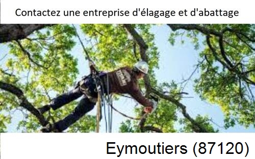 Travaux d'élagage à Eymoutiers-87120