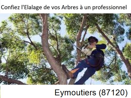 Société d'élagage à Eymoutiers-87120