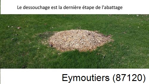 déssouchage d'arbres Eymoutiers-87120