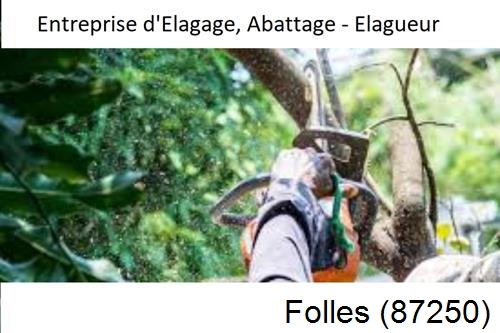 Travaux d'abattage d'arbres à Fromental-87250
