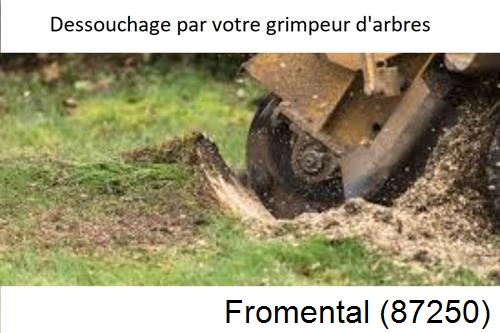 abattage d'arbres à Gajoubert-87330