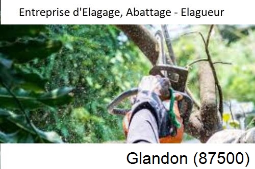 Travaux d'abattage d'arbres à Glanges-87380