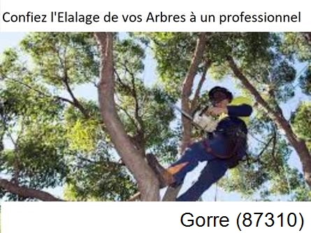 Société d'élagage à Jabreilles-les-Bordes-87370