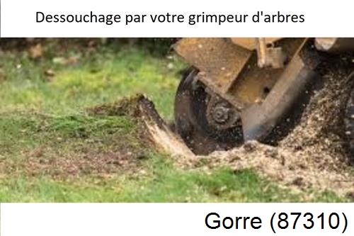 abattage d'arbres à Jabreilles-les-Bordes-87370