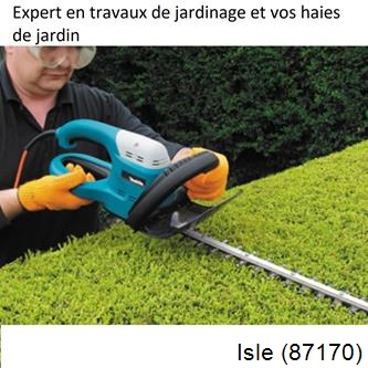 Taille et entretien jardin Isle-87170
