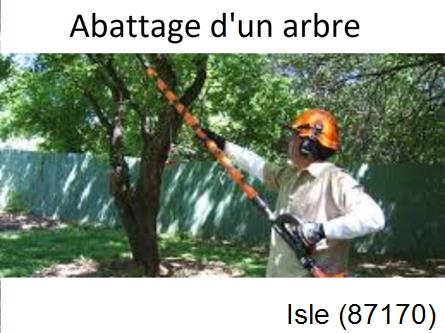 Etêtage et abattage d'un arbre Isle-87170