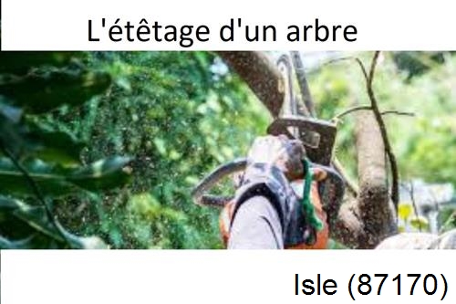 Artisan Abatteur d'arbres Isle-87170