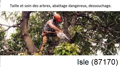Abattage d'arbres Isle-87170