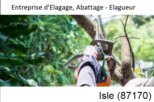 Travaux d'abattage d'arbres à Isle-87170