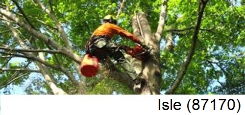 Déssouchage, étêtage d'arbres Isle-87170