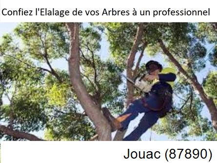Société d'élagage à Jourgnac-87800