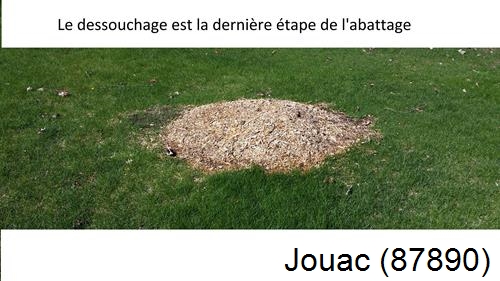 déssouchage d'arbres Jourgnac-87800