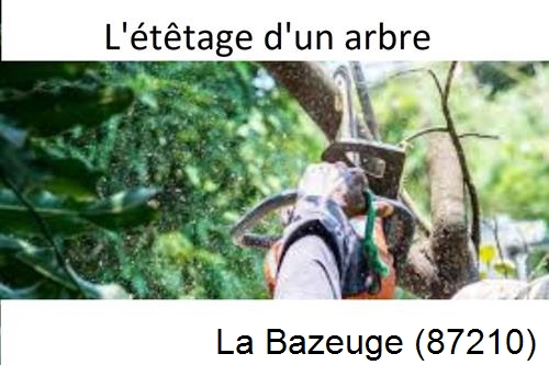 Artisan Abatteur d'arbres La Chapelle-Montbrandeix-87440