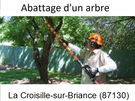 Etêtage et abattage d'un arbre La Croix-sur-Gartempe-87210