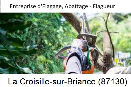 Travaux d'abattage d'arbres à La Croix-sur-Gartempe-87210