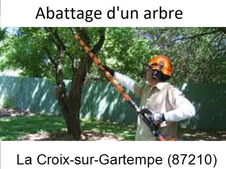 Etêtage et abattage d'un arbre La Geneytouse-87400