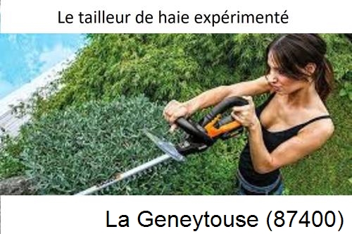 entretien jardin à La Jonchère-Saint-Maurice-87340