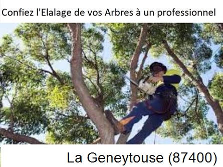 Société d'élagage à La Jonchère-Saint-Maurice-87340