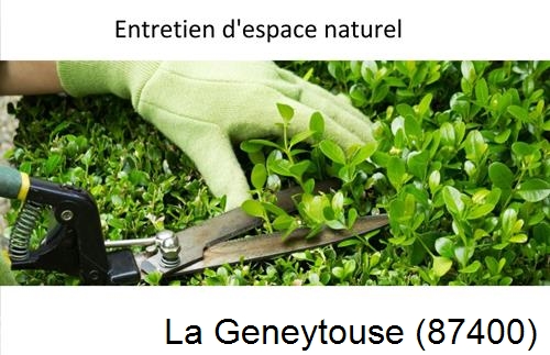 Rénovation jardin particulier La Jonchère-Saint-Maurice-87340