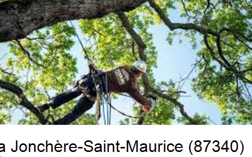 Abattage d'arbres chez un particulier La Jonchère-Saint-Maurice-87340