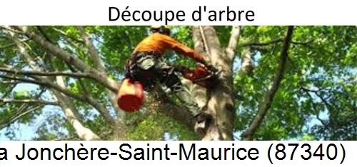 Entreprise du paysage La Jonchère-Saint-Maurice-87340