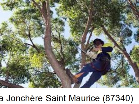 Elagueur à La Jonchère-Saint-Maurice-87340