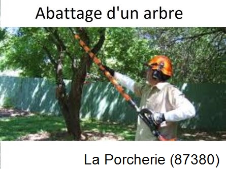 Etêtage et abattage d'un arbre La Porcherie-87380