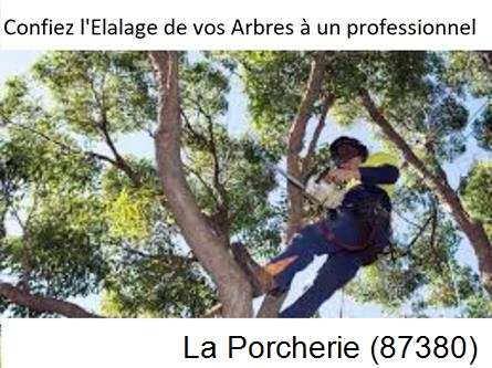 Société d'élagage à La Porcherie-87380