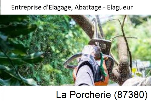 Travaux d'abattage d'arbres à La Porcherie-87380