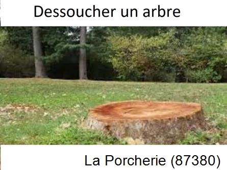 Travaux d'entretien extérieur La Roche-l'Abeille-87800