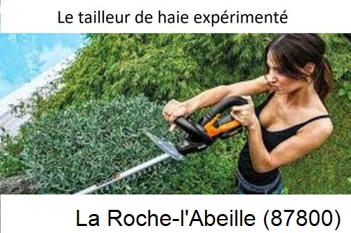 entretien jardin à La Roche-l'Abeille-87800