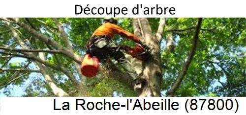 Entreprise du paysage La Roche-l'Abeille-87800