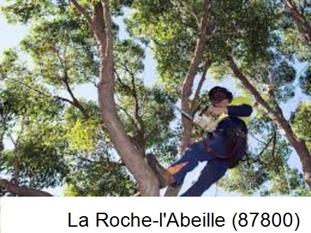 Elagueur à La Roche-l'Abeille-87800