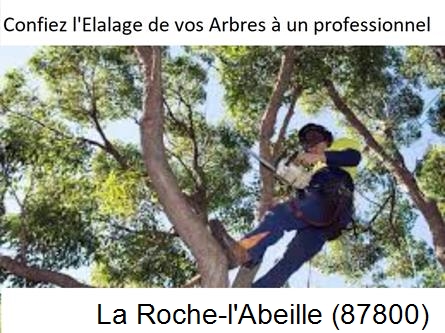 Société d'élagage à La Roche-l'Abeille-87800