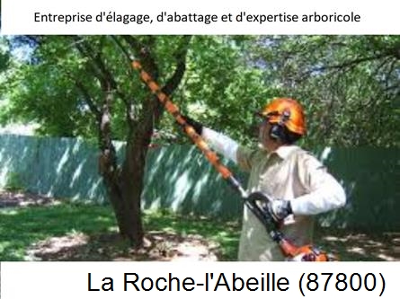 Coupe tête d'arbres La Roche-l'Abeille-87800